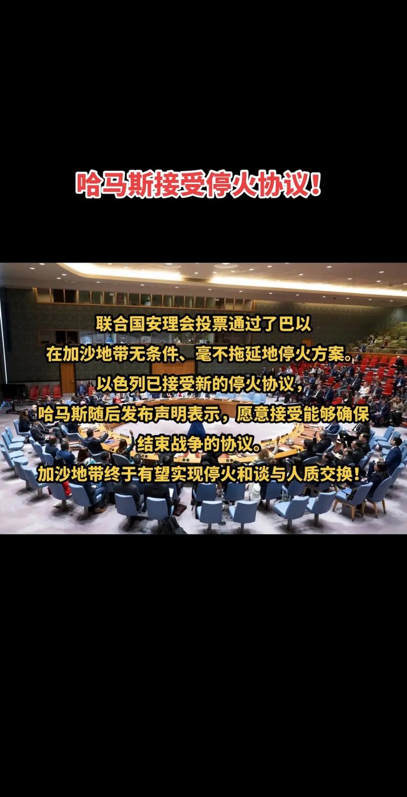 巴基斯坦外长：印巴停火