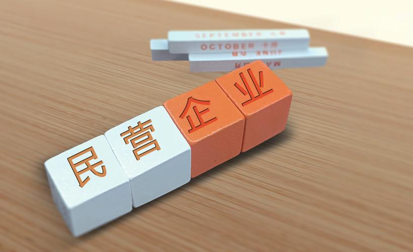 民营经济：新疆经济社会发展的重要支撑